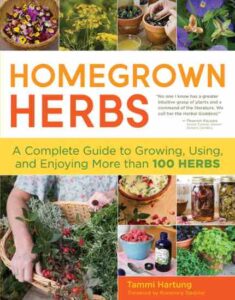 How to Dry Herbs for Optimal Quality Image